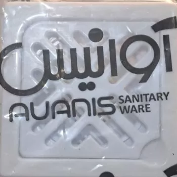 کفشوی ۱۲ آوانیس AUANIS